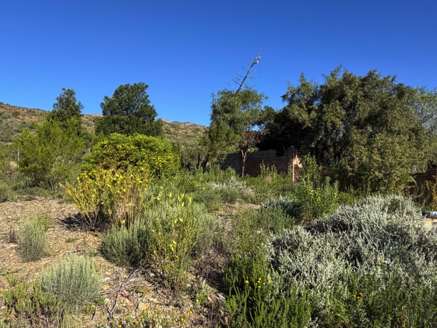 0 Bedroom Property for Sale in Barrydale Western Cape